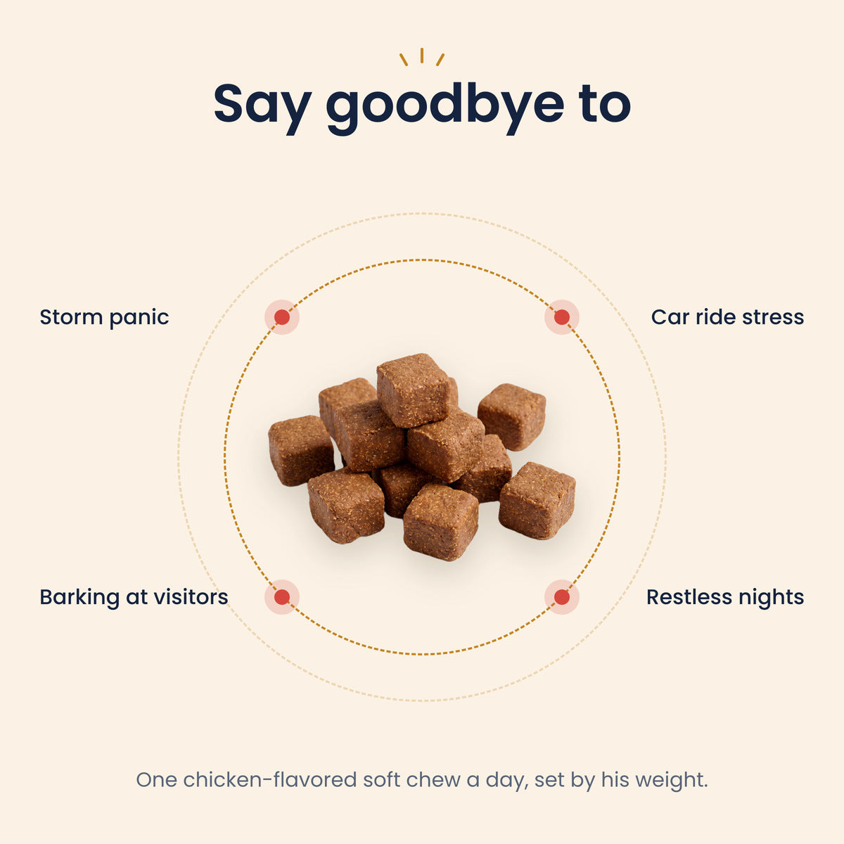 Say goodbye to storm panic, car ride stress, barking at visitors and restless nights