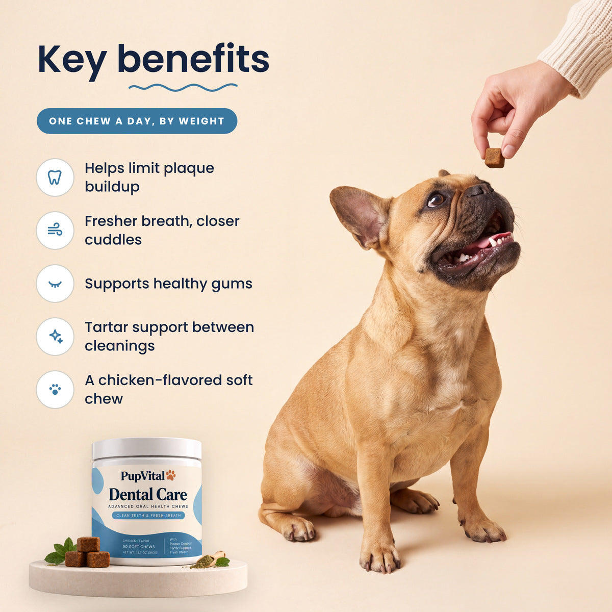 Key benefits of PupVital Dental Care soft chews: Helps limit plaque buildup; Fresher breath, closer cuddles; Supports healthy gums; Tartar support between cleanings; A chicken-flavored soft chew. Shown with a French bulldog taking a chew.