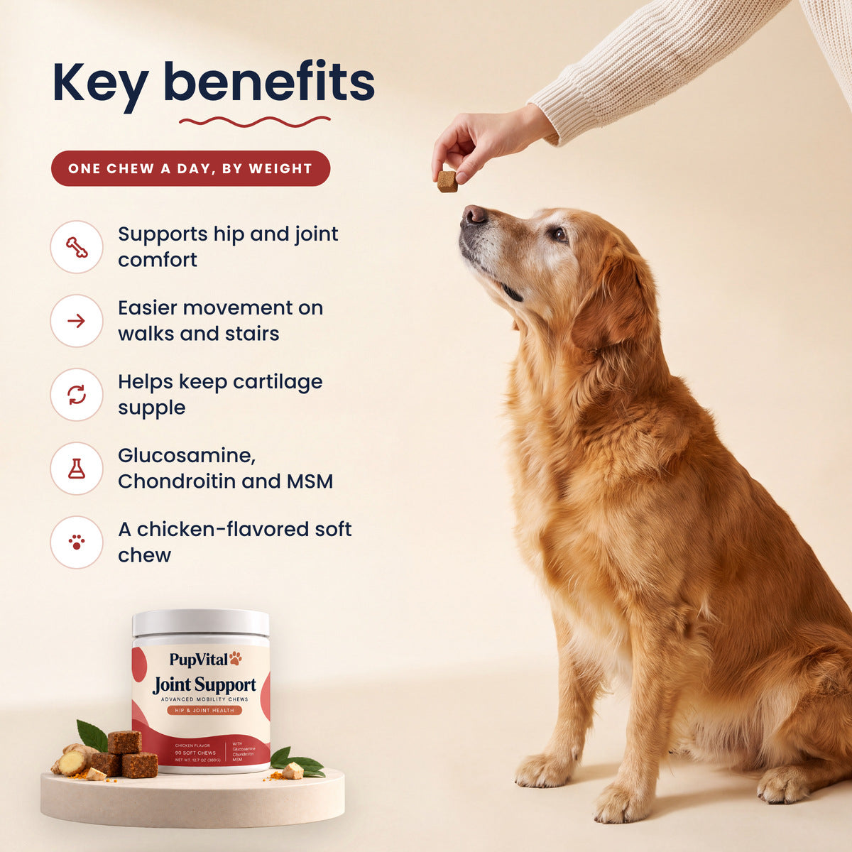 Key benefits of PupVital Joint Support soft chews: Supports hip and joint comfort; Easier movement on walks and stairs; Helps keep cartilage supple; Glucosamine, Chondroitin and MSM; A chicken-flavored soft chew. Shown with a senior golden retriever taking a chew.