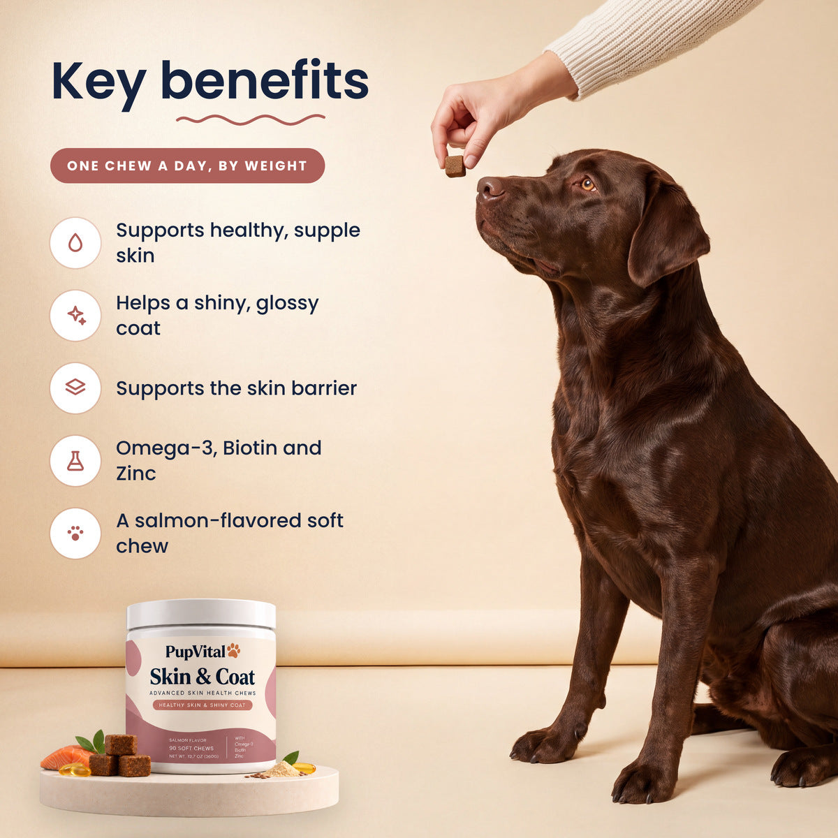 Key benefits of PupVital Skin & Coat soft chews: Supports healthy, supple skin; Helps a shiny, glossy coat; Supports the skin barrier; Omega-3, Biotin and Zinc; A salmon-flavored soft chew. Shown with a chocolate Labrador taking a chew.