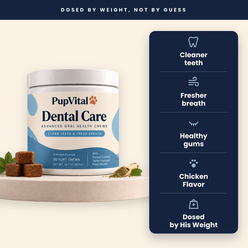 PupVital Dental Care: cleaner teeth, fresher breath, healthy gums, chicken flavor, dosed by his weight