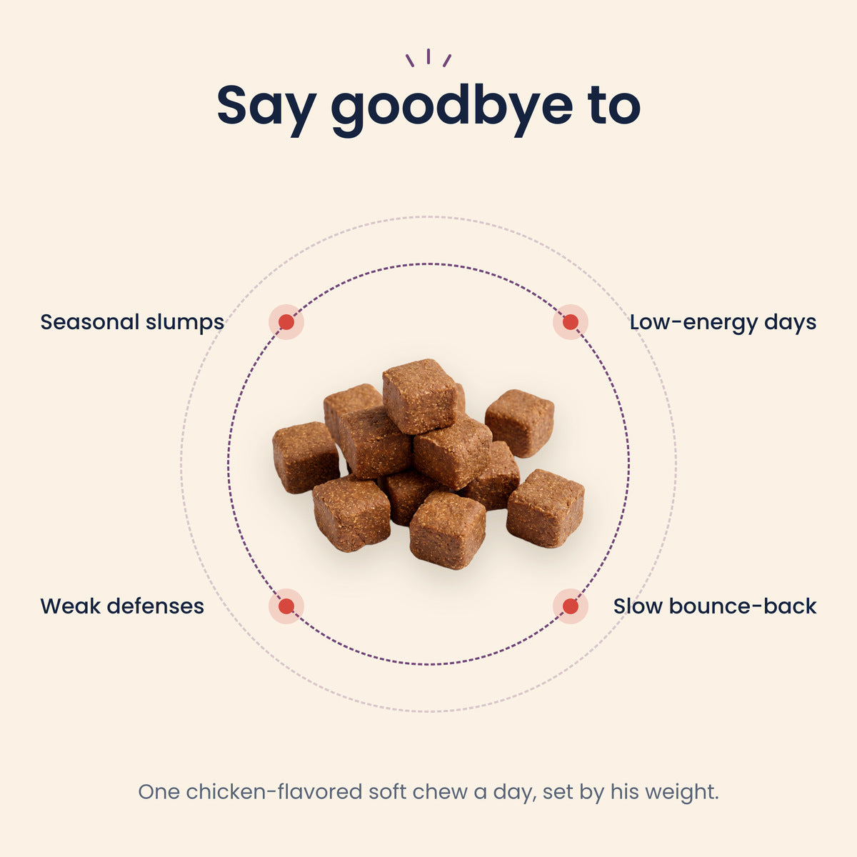 Say goodbye to seasonal slumps, low-energy days, weak defenses and slow bounce-back