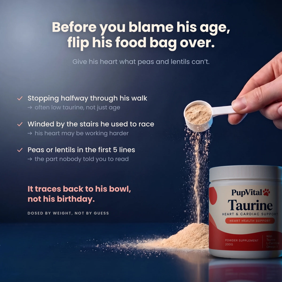 Before you blame his age, flip his food bag over: stopping halfway through his walk, winded by the stairs, peas or lentils in the first 5 lines. PupVital Taurine 200 g, dosed by weight.